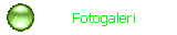 Fotogaleri